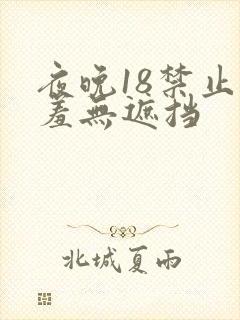夜晚18禁止羞羞无遮挡