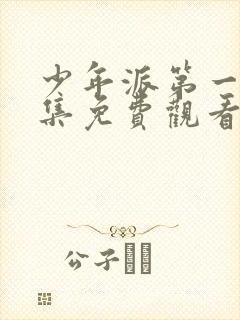 少年派第一季全集免费观看完整版