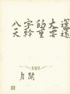 八字的大运是看天干重要还是地支重要