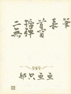 二号首长笔趣阁无弹窗