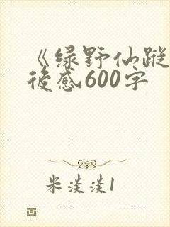 《绿野仙踪》读后感600字