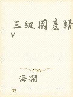 三级国产精品av
