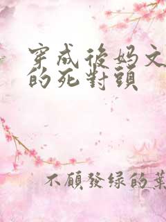 穿成后妈文女主的死对头
