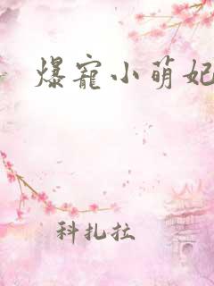 爆宠小萌妃免费