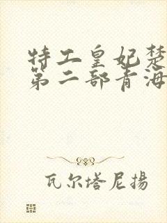 特工皇妃楚乔传第二部青海篇