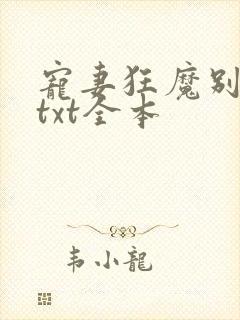 宠妻狂魔别太坏txt全本