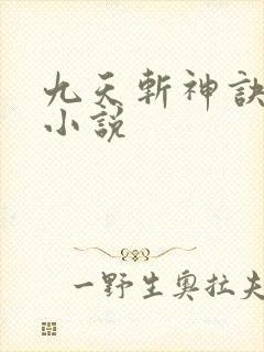 九天斩神诀林辰小说