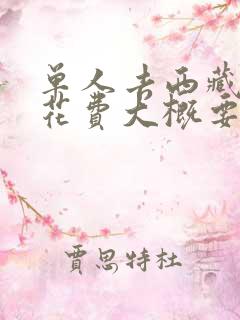 单人去西藏旅游花费大概要多少?