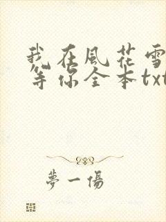 我在风花雪月里等你全本txt下载