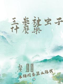 玉米被虫子吃用什么药