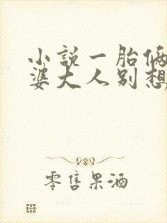 小说一胎俩宝老婆大人别想逃
