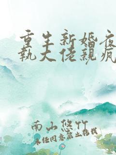 重生新婚夜被偏执大佬亲疯