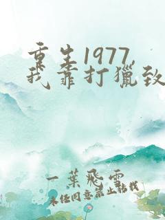 重生1977,我靠打猎致富 无火的七
