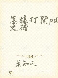 怎样打开pdf文档