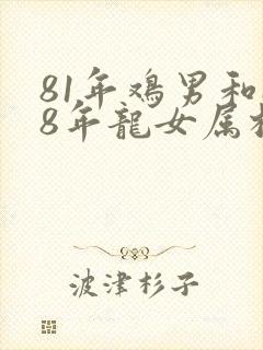81年鸡男和88年龙女属相合不合