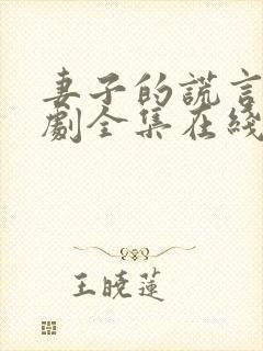妻子的谎言电视剧全集在线