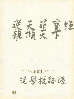 逆天萌宝绝世娘亲倾天下