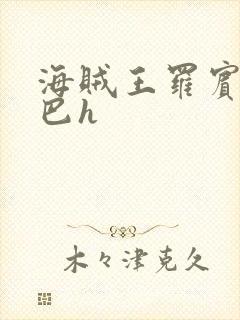 海贼王罗宾被乔巴h