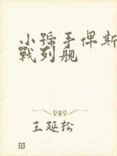 小号手俾斯麦号战列舰