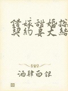 错嫁甜婚总裁的契约妻大结局