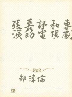 张嘉译和车晓主演的电视剧叫什么名