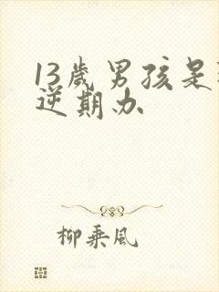 13岁男孩是叛逆期办