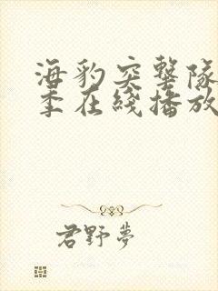 海豹突击队第8季在线播放