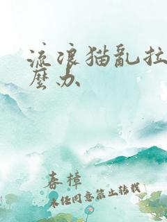 流浪猫乱拉屎怎么办