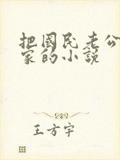 把国民老公带回家的小说