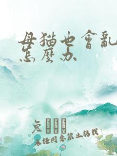 母猫也会乱尿吗怎么办