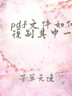 pdf文件如何复制其中一页