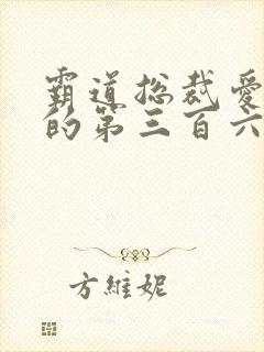 霸道总裁爱上我的第三百六十五天