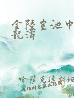 金陵岂池中物侯龙涛
