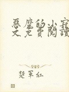 恶魔的小宠儿全文免费阅读