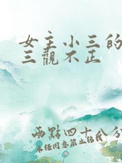 女主小三的小说三观不正