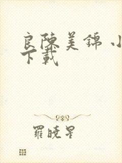 良陈美锦 小说下载