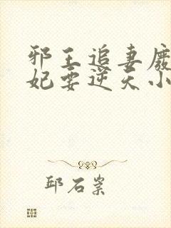 邪王追妻废材狂妃要逆天小说