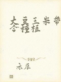 大豆玉米带状复合种植