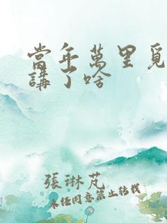 当年万里觅封侯讲了啥