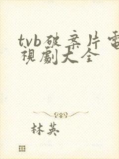 tvb破案片电视剧大全