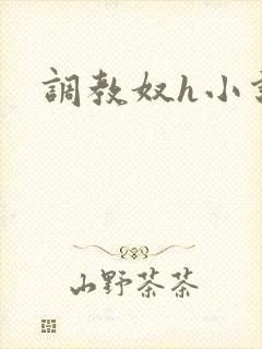 调教奴h小说