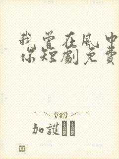 我曾在风中遇见你短剧免费观看