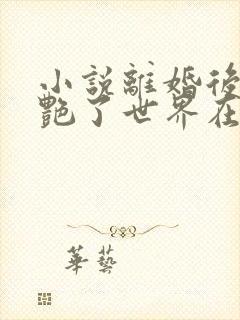 小说离婚后她惊艳了世界在线阅读
