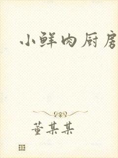小鲜肉厨房