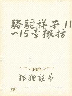 骆驼祥子 11~15章概括