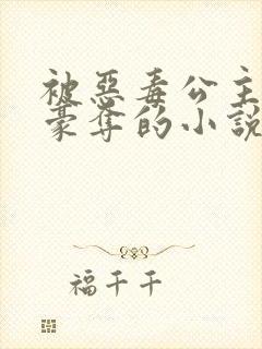 被恶毒公主强取豪夺的小说