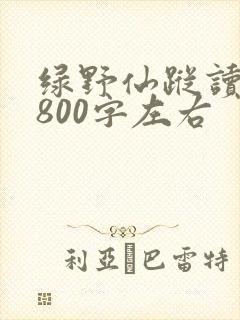 绿野仙踪读后感800字左右