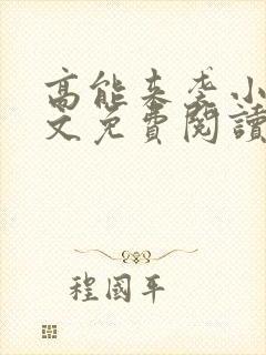 高能来袭小说全文免费阅读全文