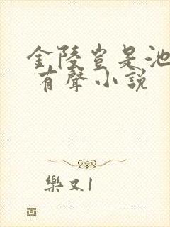 金陵岂是池中物 有声小说