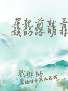 屠龙前就看了龙族的路明非 小说